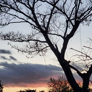 Meet your Posher, Arlynn